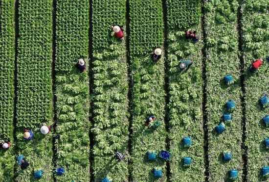 四川人口数据发布：常住人口与户籍人口均现明显下降；专家分析背后因素。