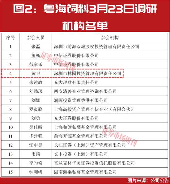  波动深处的价值逻辑：市场反转中的博弈与远见 股票财经