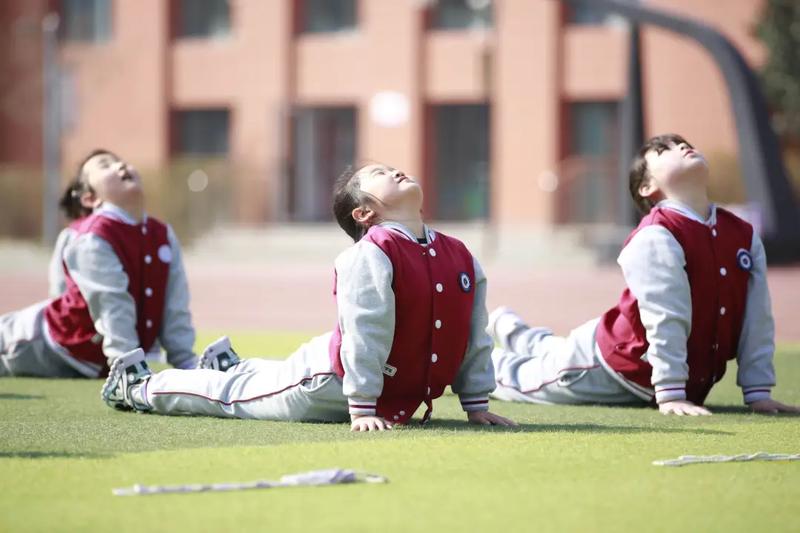  运动生理学视角下的校园体育革新：双高峰心率设计如何重塑大课间效能 教育招生