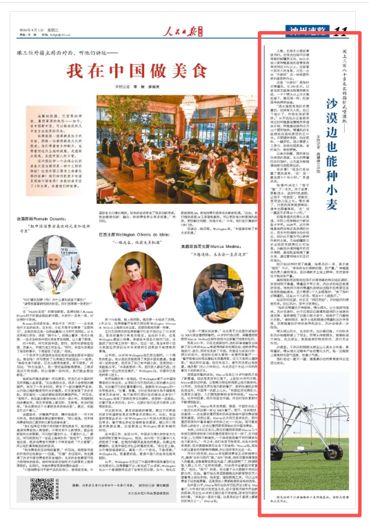 沙漠小麦种植技术解密:指针式喷灌如何破解治沙增粮难题 新闻