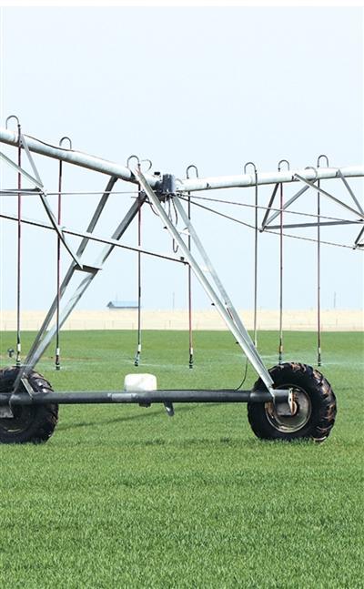 沙漠小麦种植技术解密:指针式喷灌如何破解治沙增粮难题 新闻