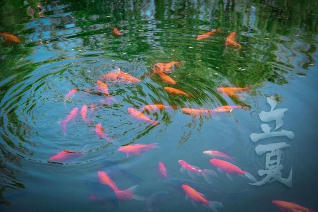  五一假期制度演进与2026年排班全解：政策红利与出行策略深度指南 文化旅游