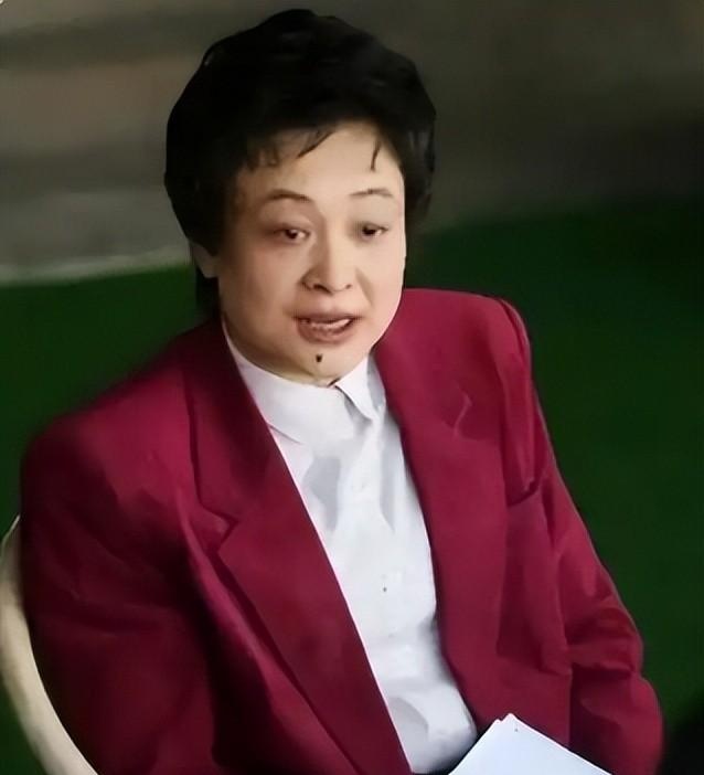  从弧圈快攻到技术传承：何智丽乒乓生涯的技术演进与执教转型深度解析 体育新闻