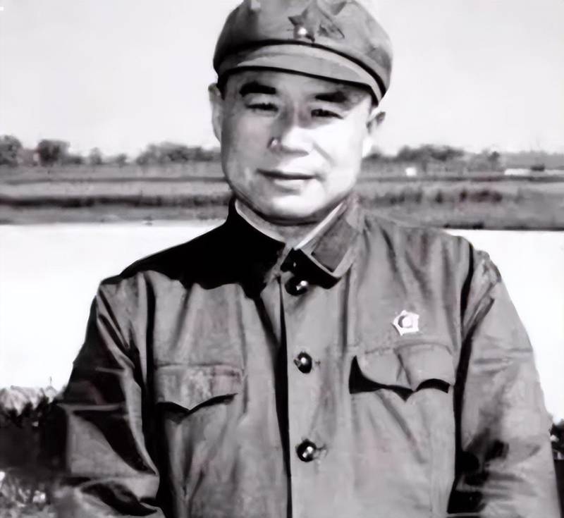  战火情缘与时代裂痕：一位战地护士与传奇将军的半生纠葛 影视小说