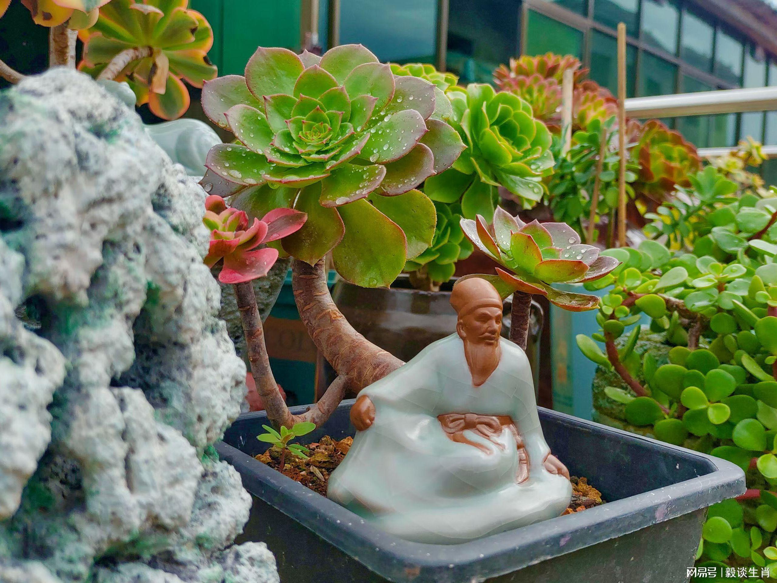 【财富底层逻辑】三大生肖的财运转化机制深度解析：从性格特质到财富路径