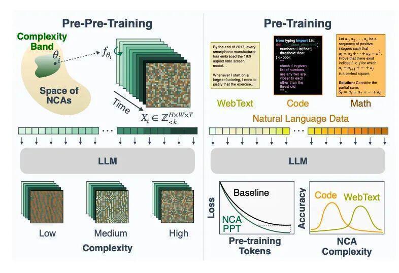  从康威生命游戏到语言模型：细胞自动机预训练的深层逻辑与技术突破 IT技术
