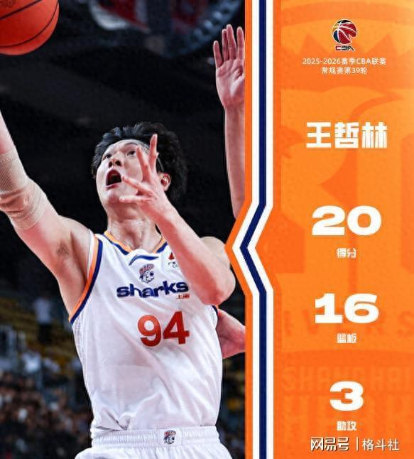  技术解密：王哲林32岁何以重返巅峰？深层数据分析揭示上海内线答案 体育新闻