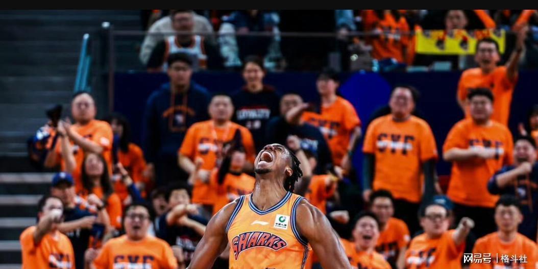  技术解密：王哲林32岁何以重返巅峰？深层数据分析揭示上海内线答案 体育新闻