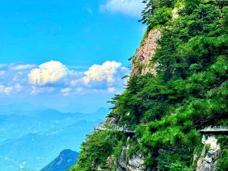  终于等到这一天：属虎人的财富觉醒时刻来临 新闻