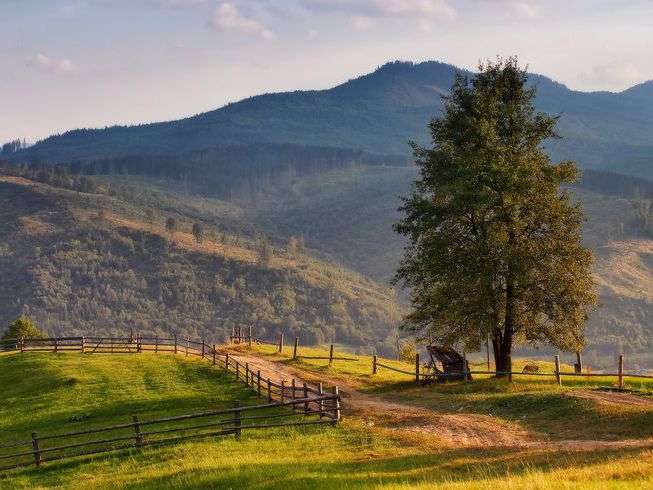  终于等到这一天：属虎人的财富觉醒时刻来临 新闻