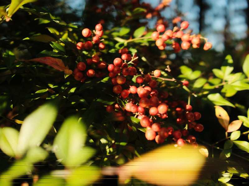  终于等到这一天：属虎人的财富觉醒时刻来临 新闻