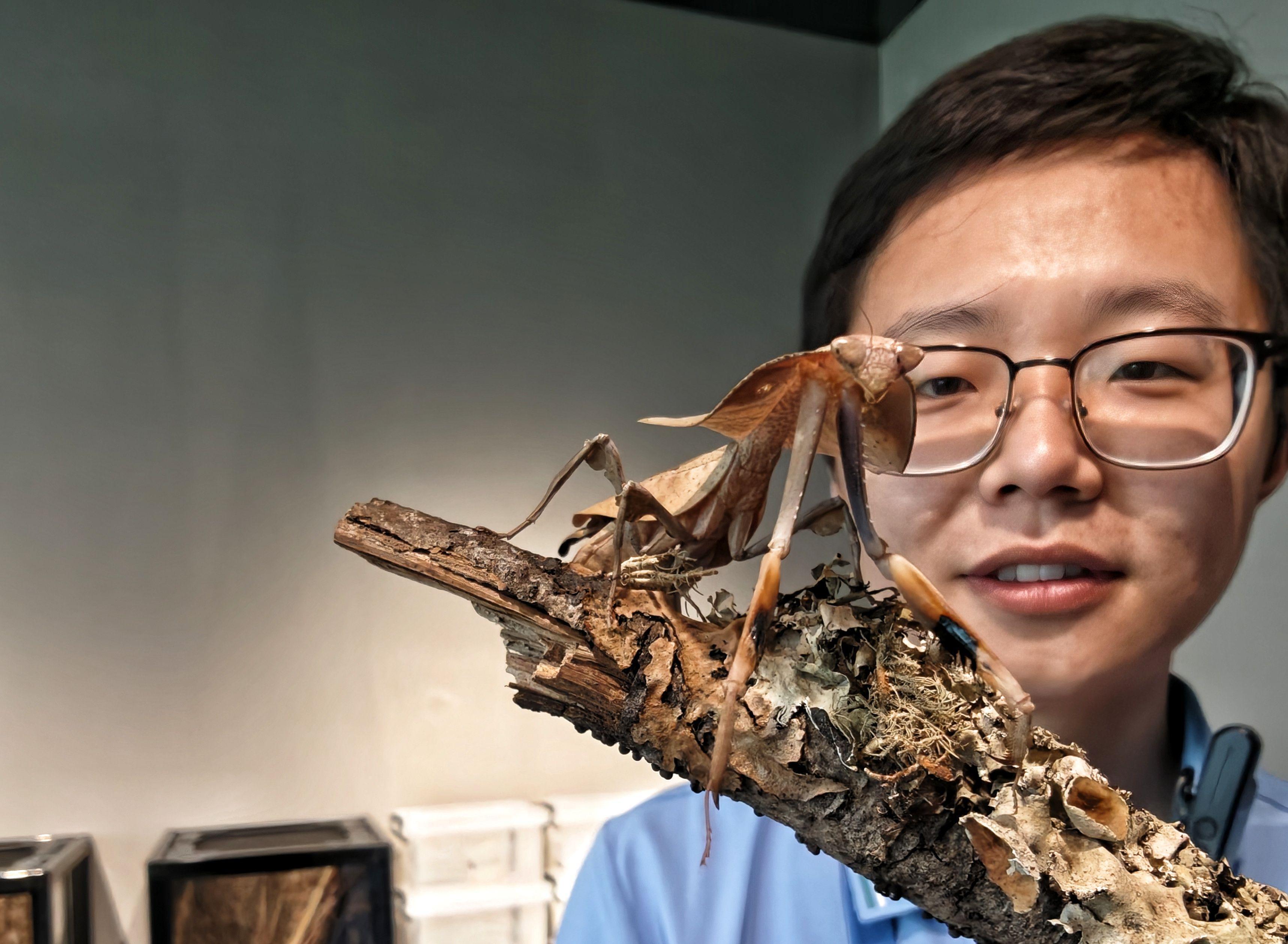  技术深度解析：北京市自然昆虫博物馆如何用叙事化设计重构博物馆体验 文化旅游