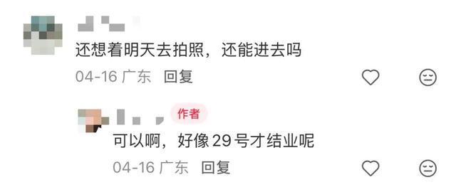  东部华侨城升级改造全解析：从闭园公告到未来规划的深度技术梳理 文化旅游