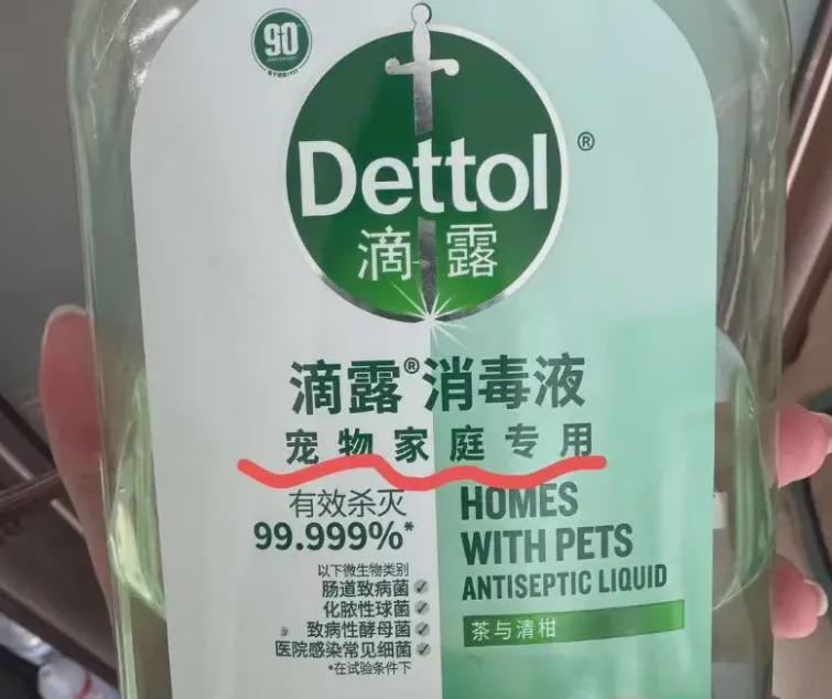  【深度技术解析】苯扎氯铵消毒液对幼猫的潜在致死机制：为什么「宠物专用」并非绝对安全 健康养生