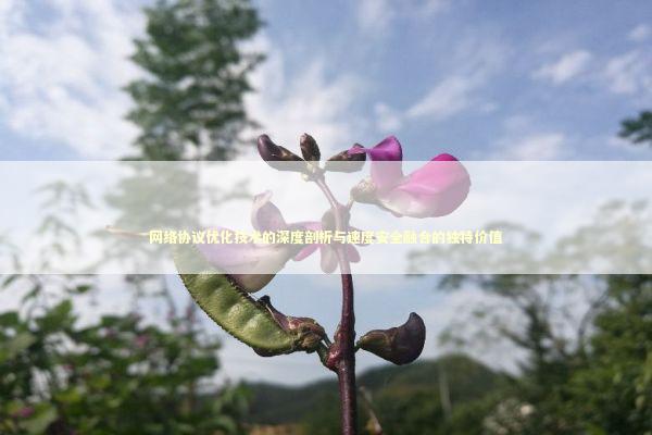 网络协议优化技术的深度剖析与速度安全融合的独特价值 新闻