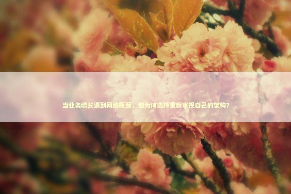 当业务增长遇到网络瓶颈，他为何选择重新审视自己的架构？ 企业服务