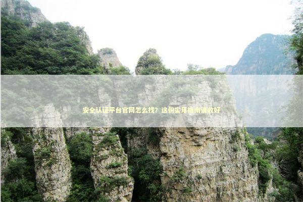 安全认证平台官网怎么找？这份实用指南请收好 IT技术