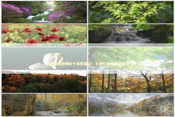 一位退休教师的十年抗病记：与脊柱炎症和平共处 新闻