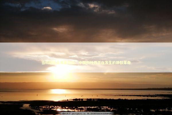 当科研失去明星效应：中国科技界正在发生的静默革命 新闻