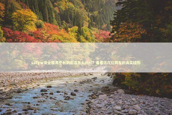 safew安全服务平台到底该怎么访问？看看这几位网友的真实经历 IT技术