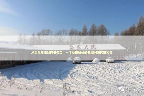 从流量焦虑到排名稳定：一个草根站长的关键词研究进化史 IT技术