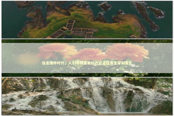 信息爆炸时代，人们寻找答案的方式正在发生深刻变化 IT技术