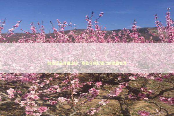 网络工具真相追踪：那些年我们错过的隐藏资源 IT技术