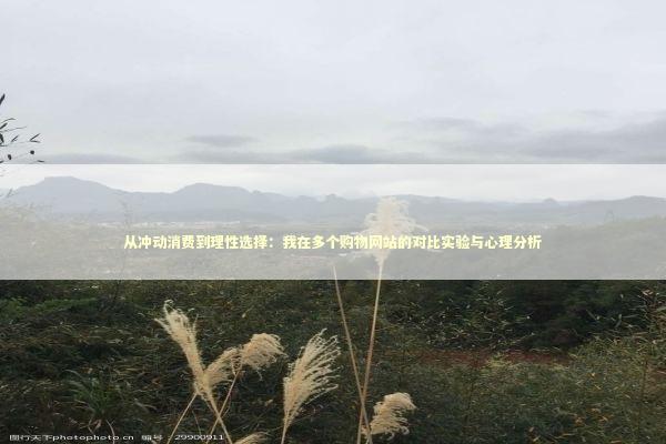 从冲动消费到理性选择：我在多个购物网站的对比实验与心理分析 企业服务