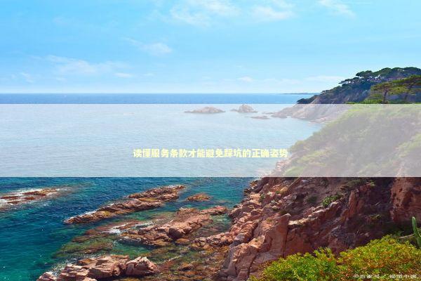 读懂服务条款才能避免踩坑的正确姿势 IT技术